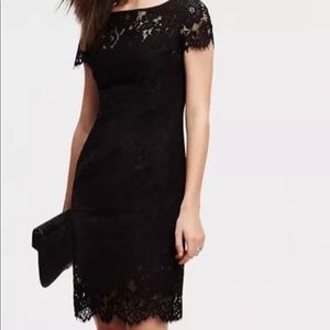Ann Taylor Tall Lace Sheath Dress Short Sleeve 391029